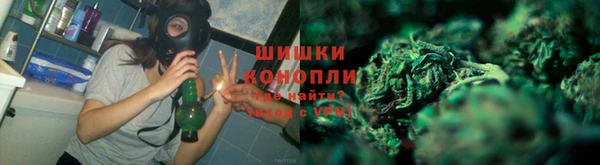 стаф Волоколамск