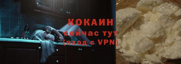 стаф Волоколамск