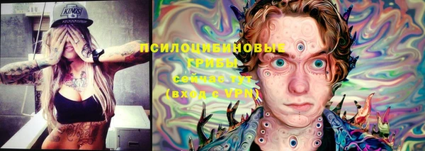 ECSTASY Волосово