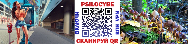 Псилоцибиновые грибы Psilocybine cubensis  купить закладку  Саранск 
